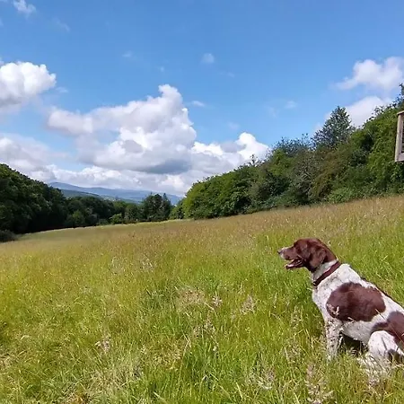 Nire Valley Eco Camp *