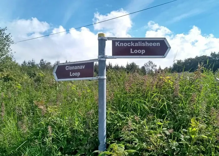 Nire Valley Eco Camp Kemping