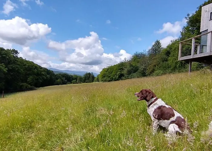 Nire Valley Eco Camp *